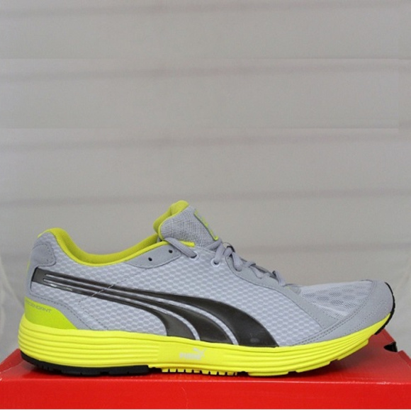 puma descendant puma descendant